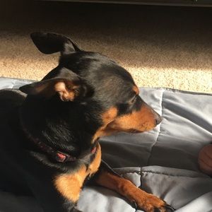 Meet your Posher, Marcos